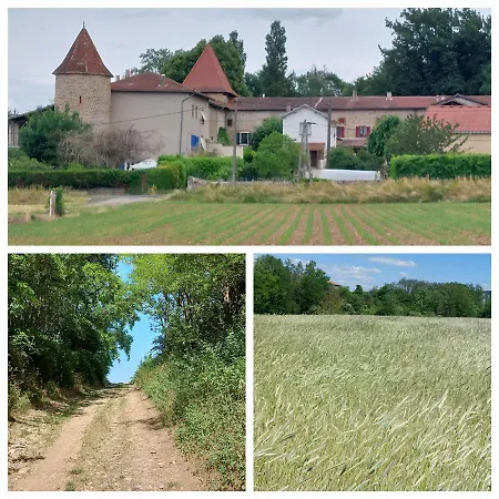 Le Chant De L'Alyte Lens-Lestang Exterior photo
