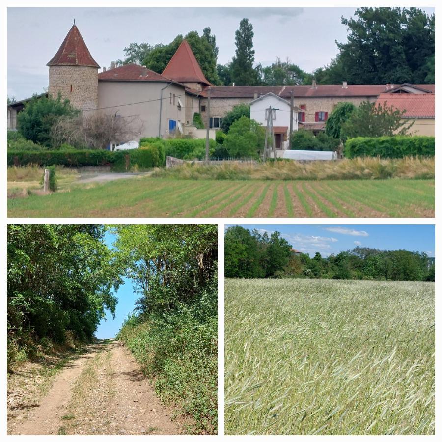 Holiday home Le Chant De L'alyte Lens-Lestang